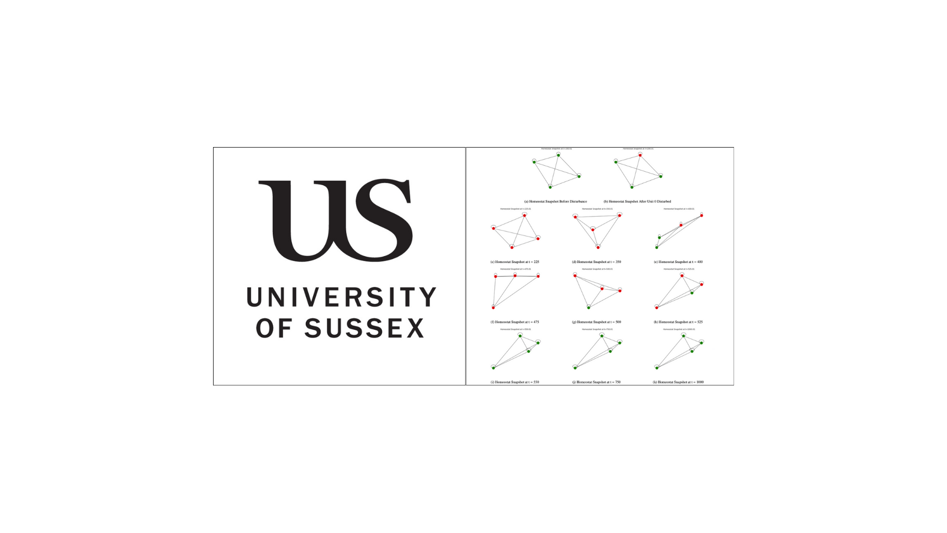 Comparative Analysis of Connection Patterns in High-Unit Homeostat